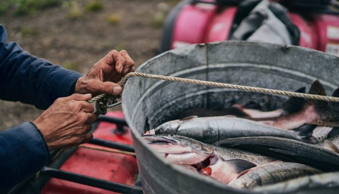 KC Nunivak Summer Website 20