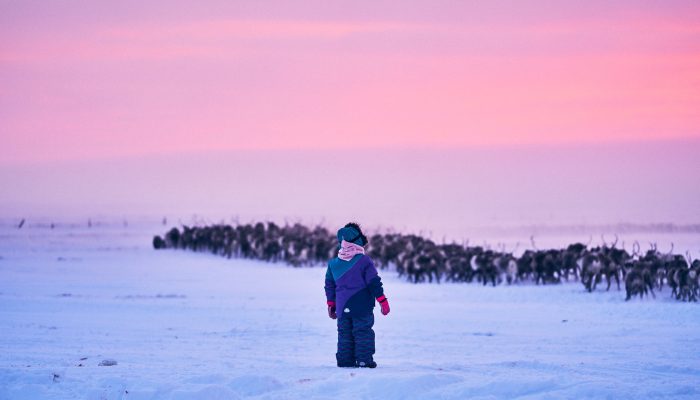 KC - Nunivak Winter 3125
